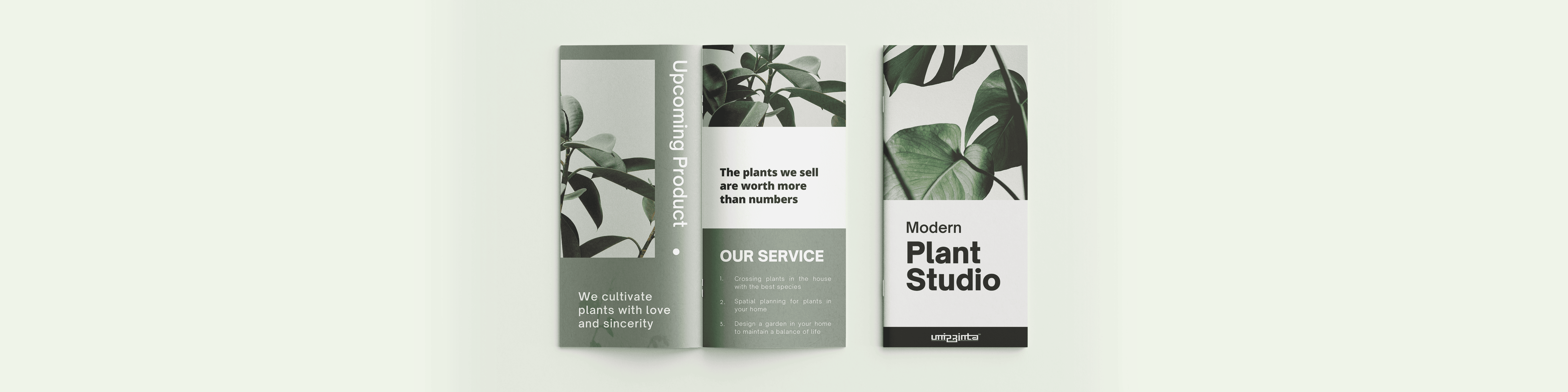 Brochures Stitched DL